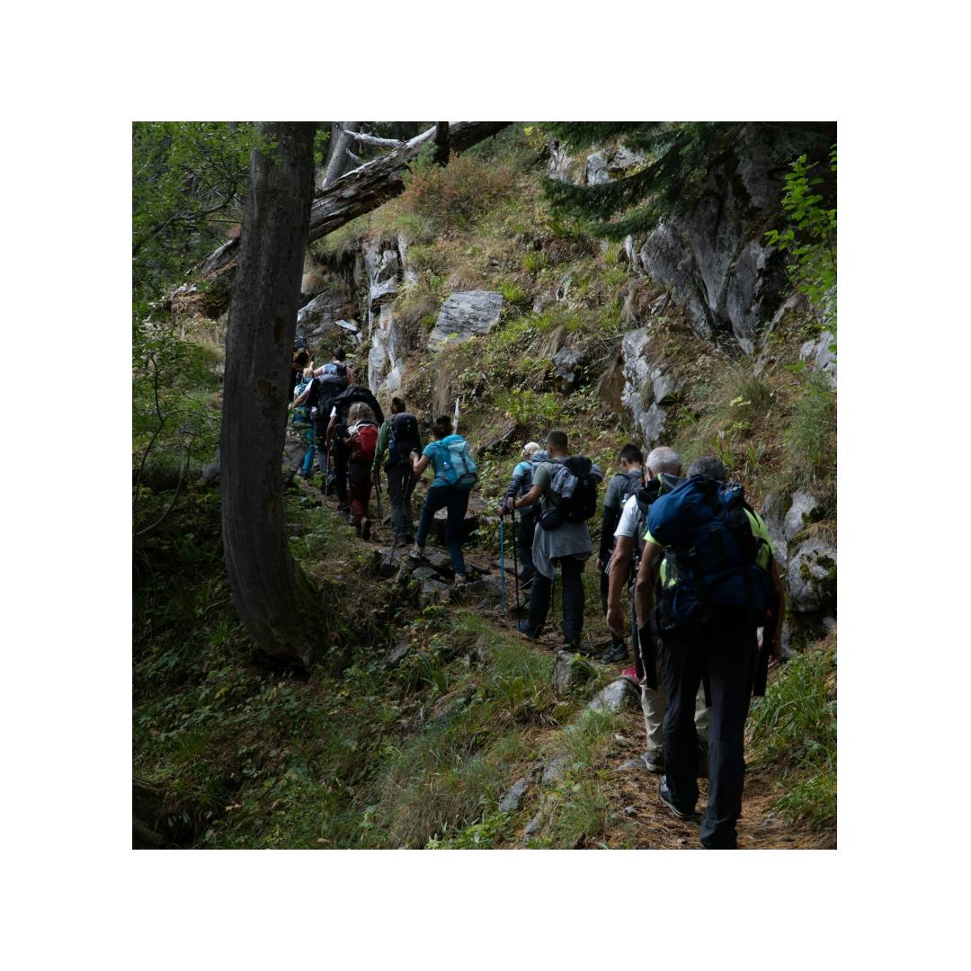 Read more about the article RC3 Board Engages with County Consultants on Tourism Study